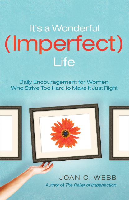 its-a-wonderful-imperfect-life-book-cover-title-8-14-08