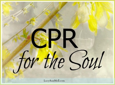 cpr-for-the-soul