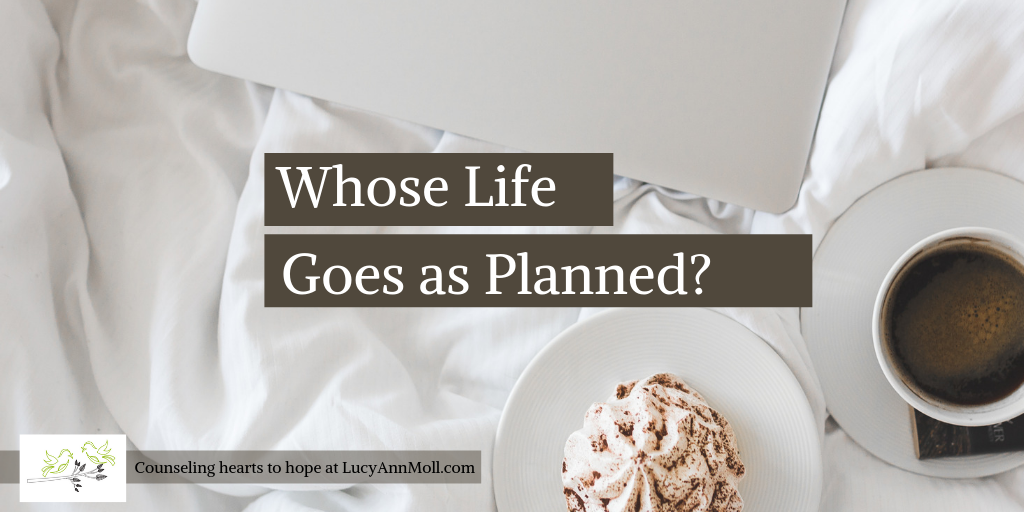 Whose Life Goes as Planned?