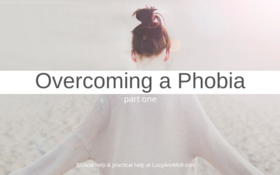 Overcoming a Phobia, Part 1