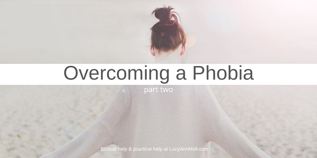 Overcoming a Phobia, Part 2